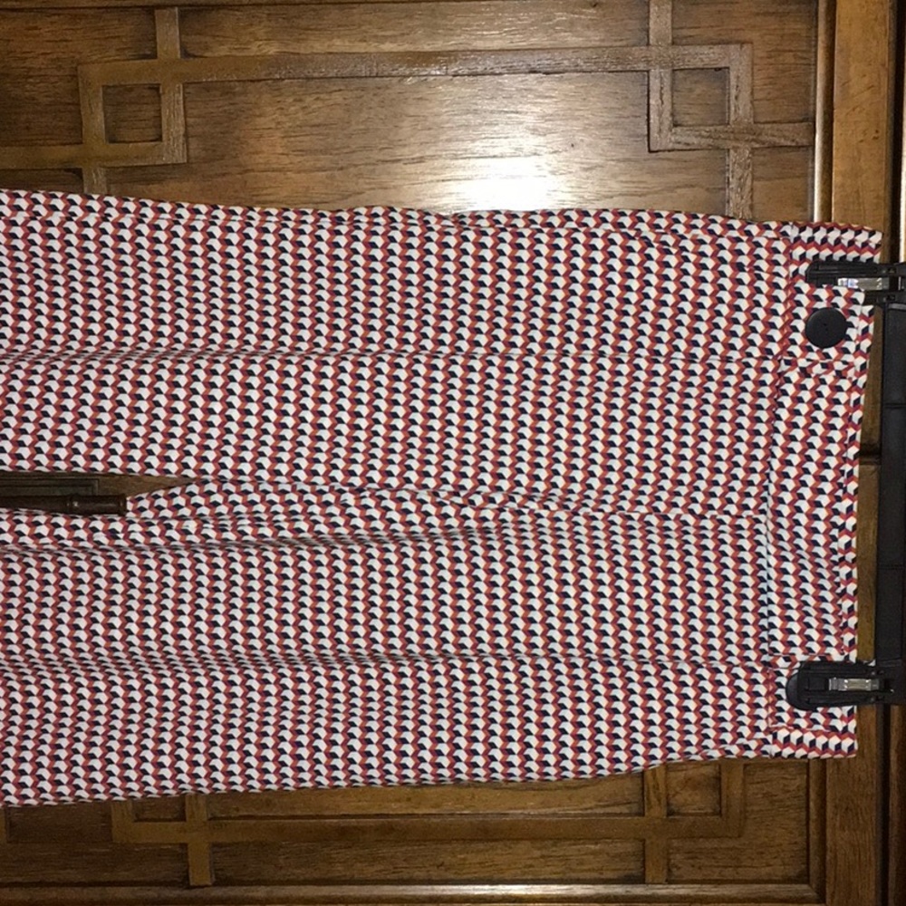 Skirt pants